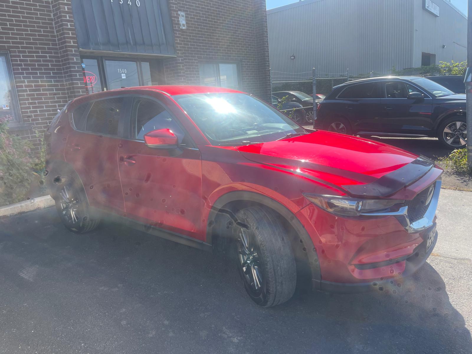 PHOTO-2025-09-29-11-52-04 3.jpg