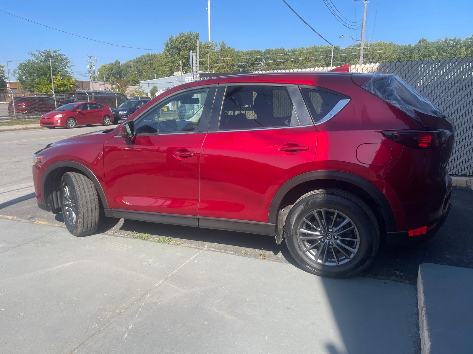 PHOTO-2025-09-29-11-52-05 2.jpg