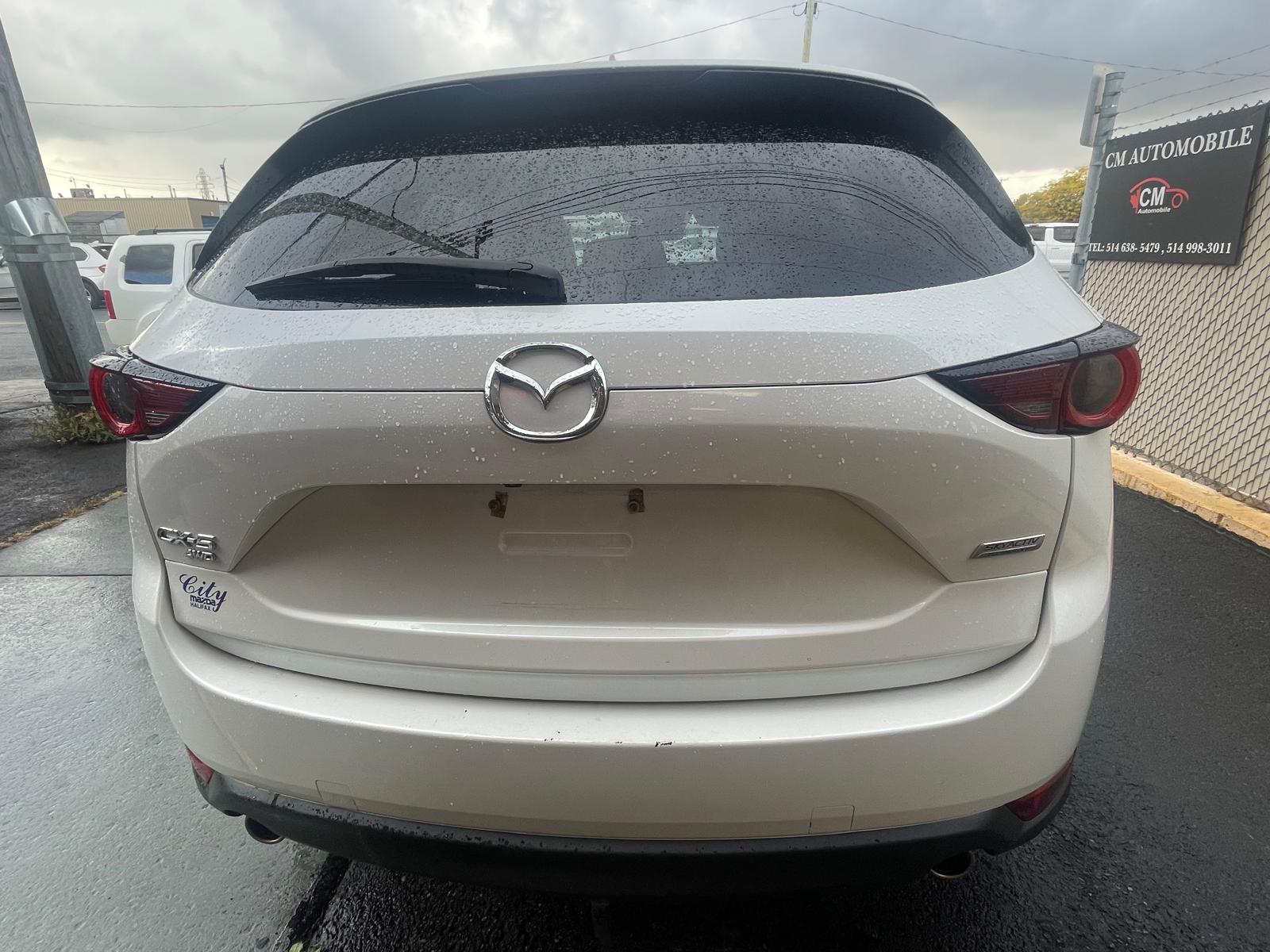 PHOTO-2025-10-23-15-28-44 5.jpg