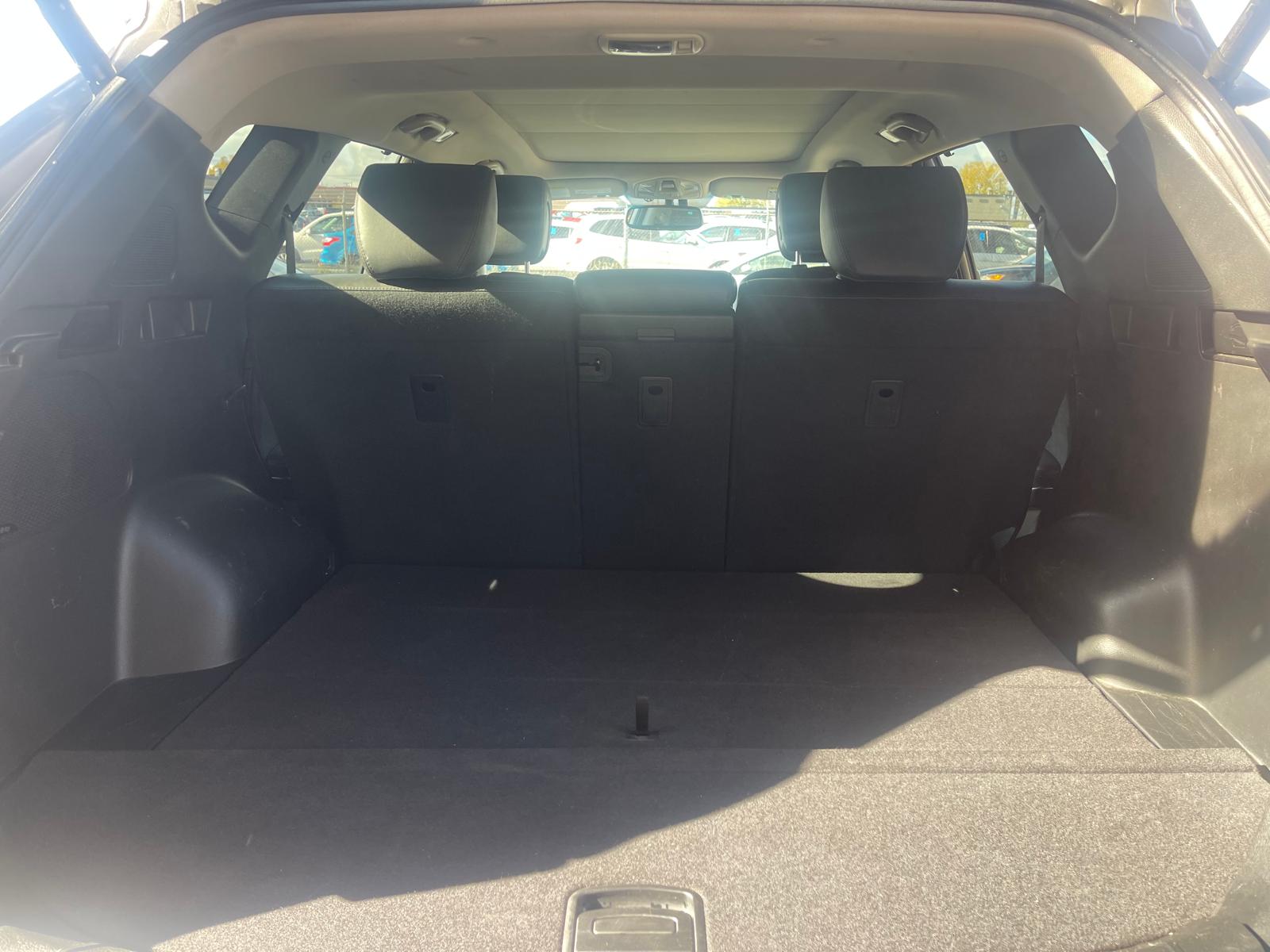 PHOTO-2025-10-24-12-25-49 17.jpg