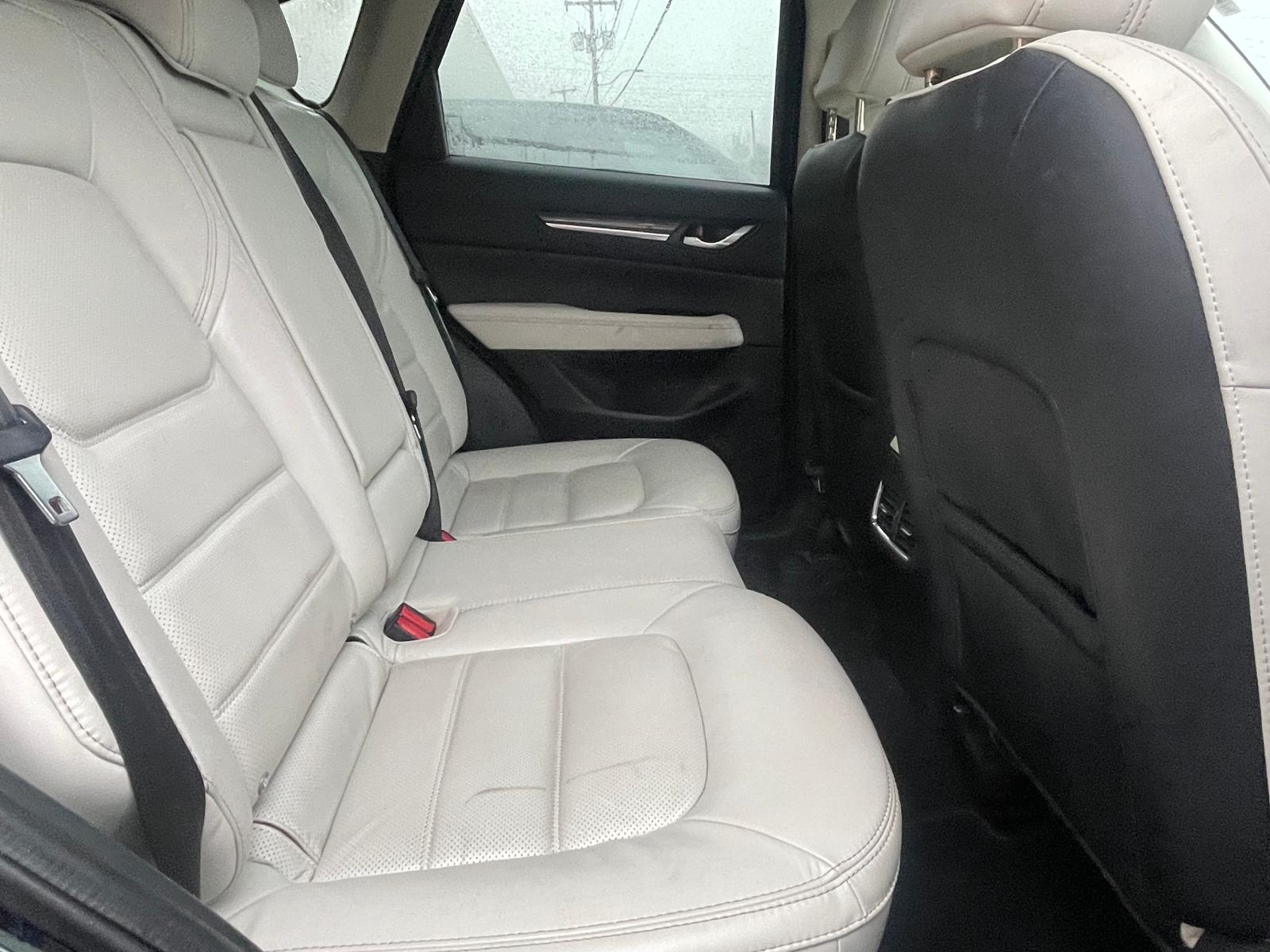 PHOTO-2025-11-21-10-36-03 9.jpg