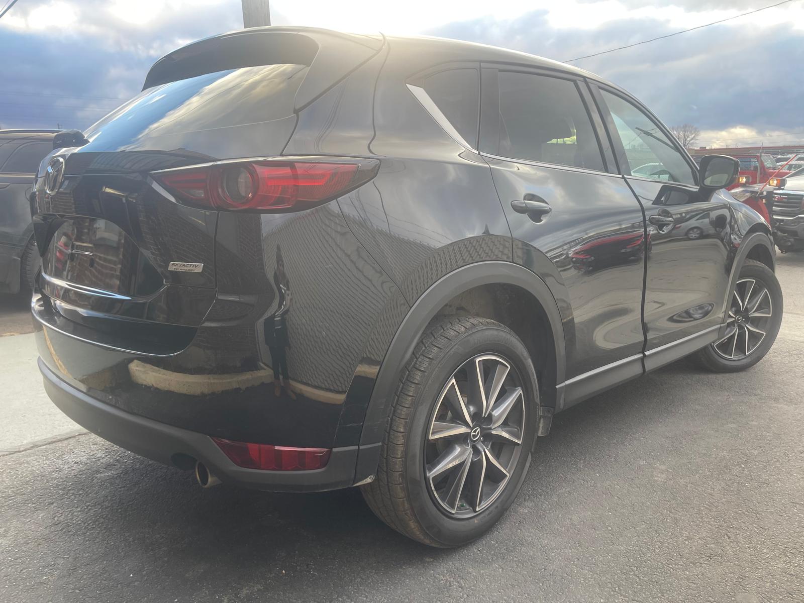 WhatsApp Image 2025-11-27 at 16.04.42.jpeg