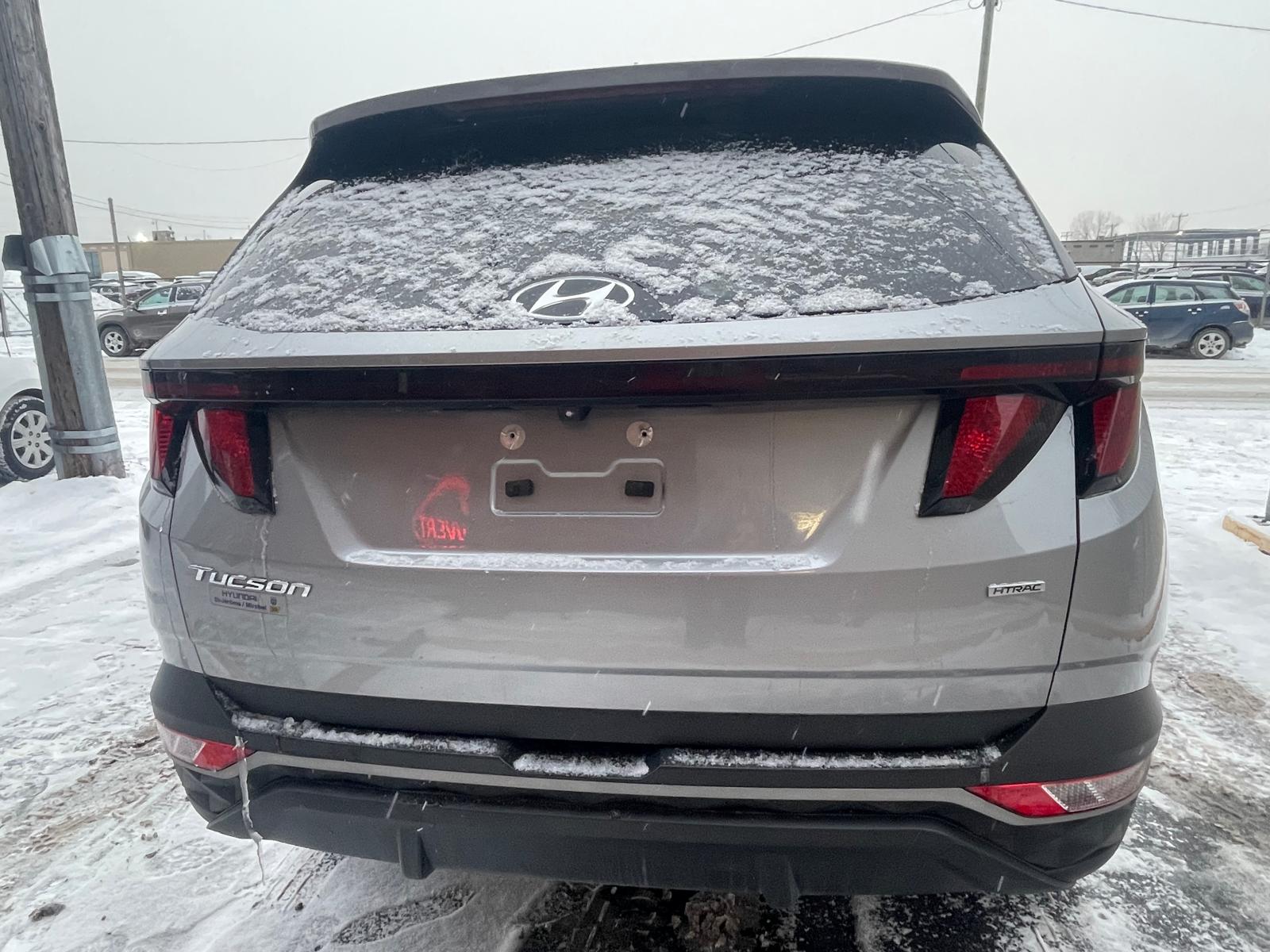 PHOTO-2026-01-05-17-16-08 9.jpg