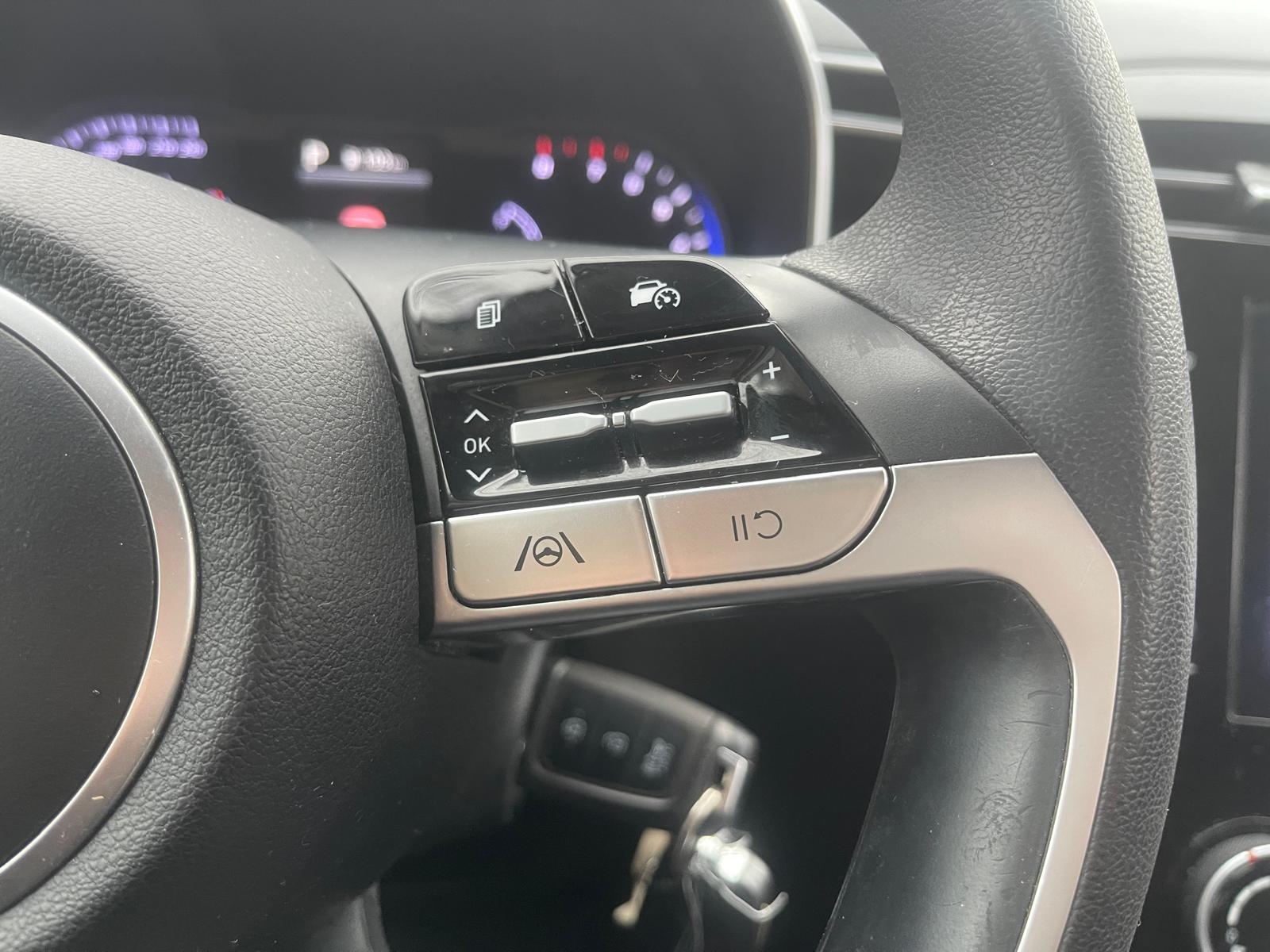 PHOTO-2026-01-09-14-41-15 2.jpg