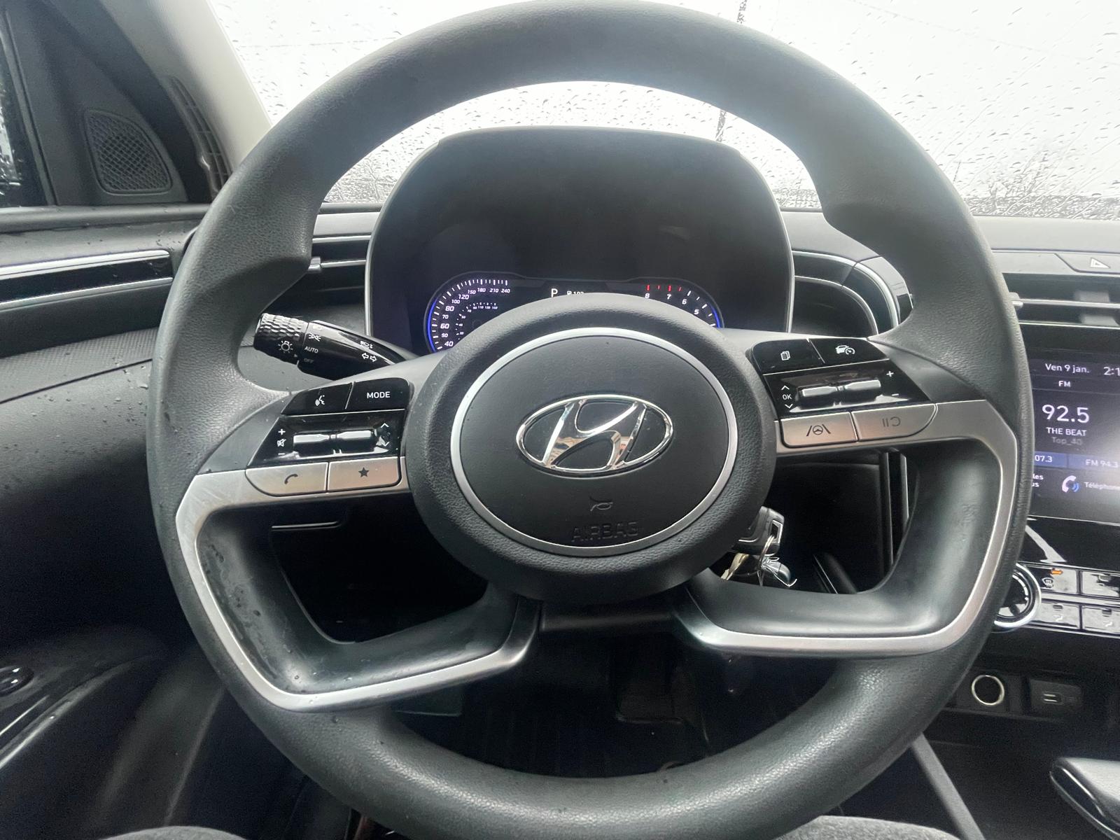 PHOTO-2026-01-09-14-41-15 6.jpg