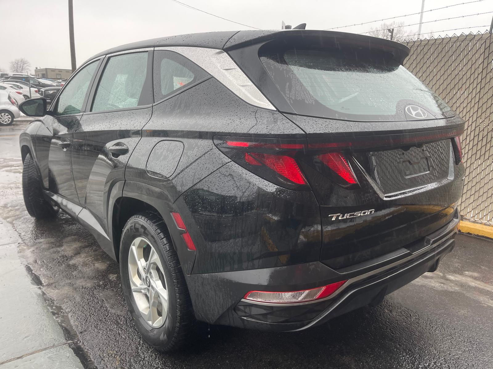 PHOTO-2026-01-09-14-41-14 2.jpg