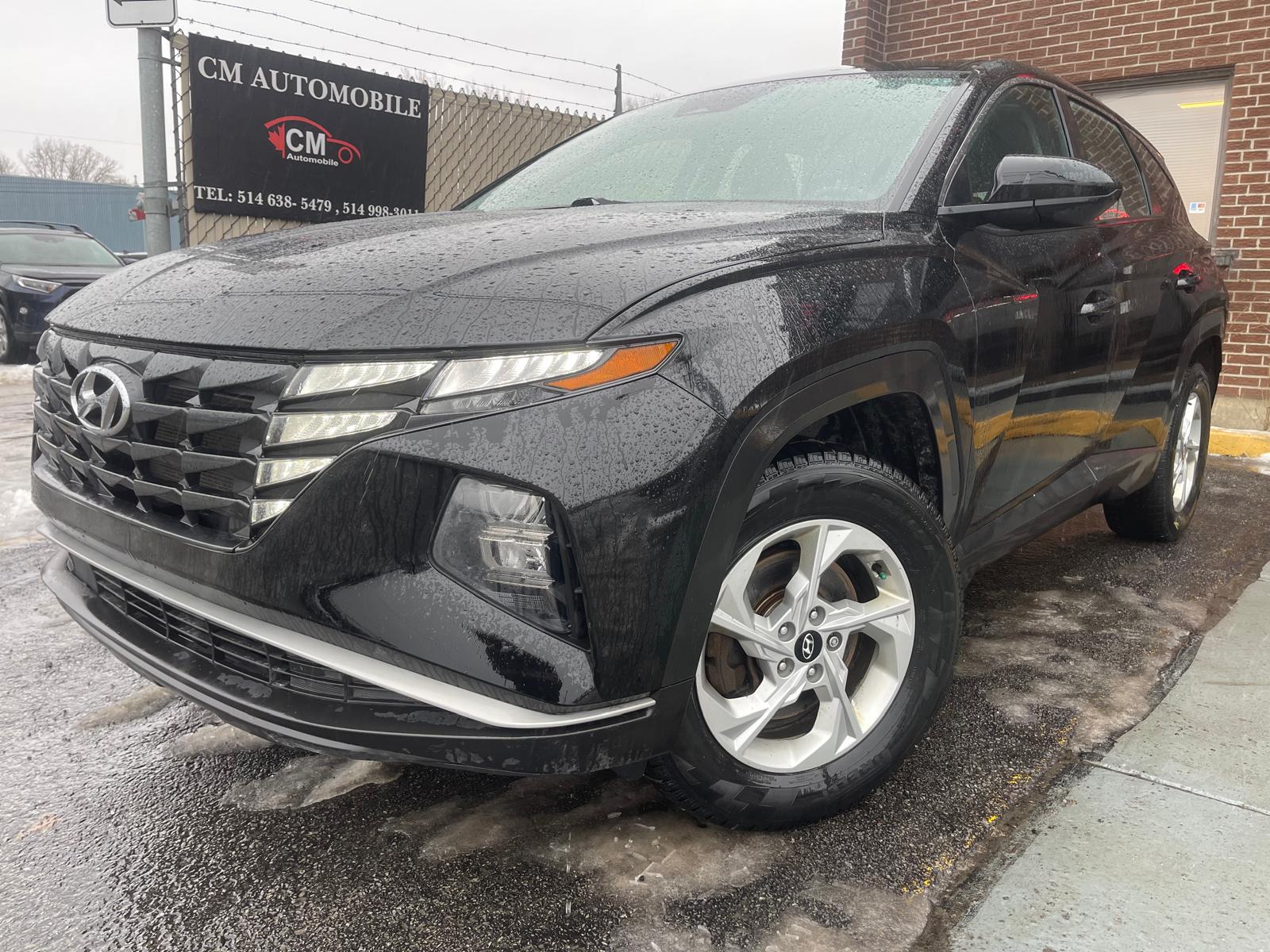 PHOTO-2026-01-09-14-41-16 9.jpg