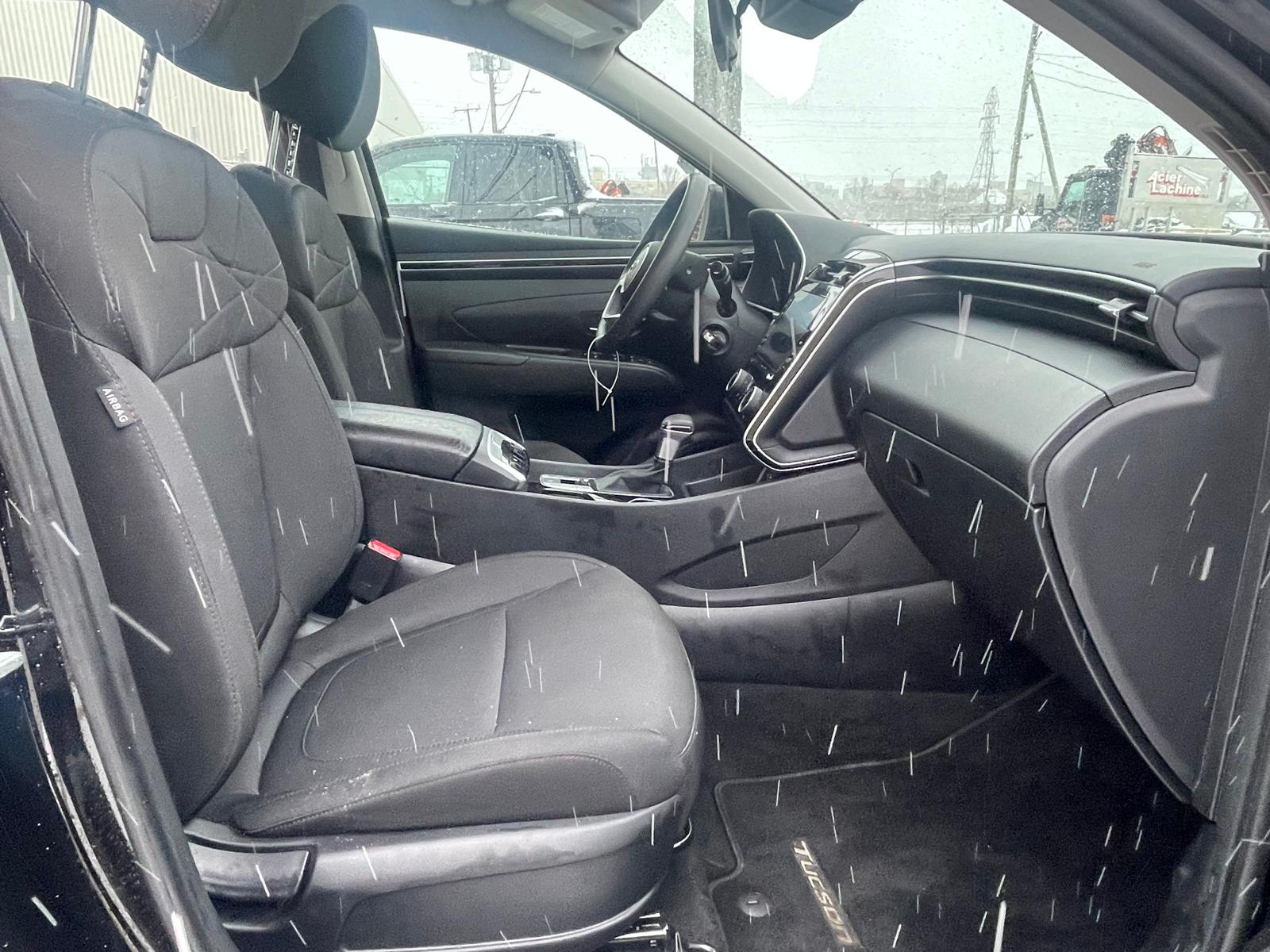 PHOTO-2026-01-15-14-33-53 16.jpg