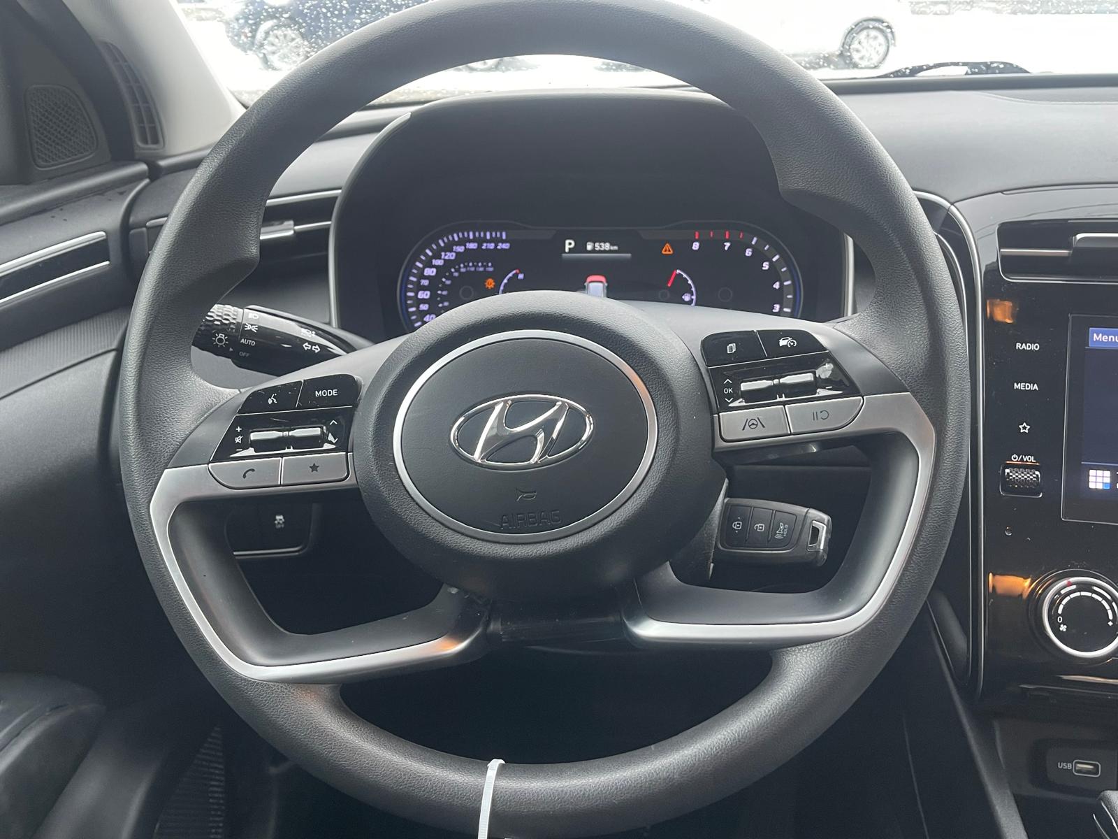 PHOTO-2026-01-15-14-33-53 14.jpg