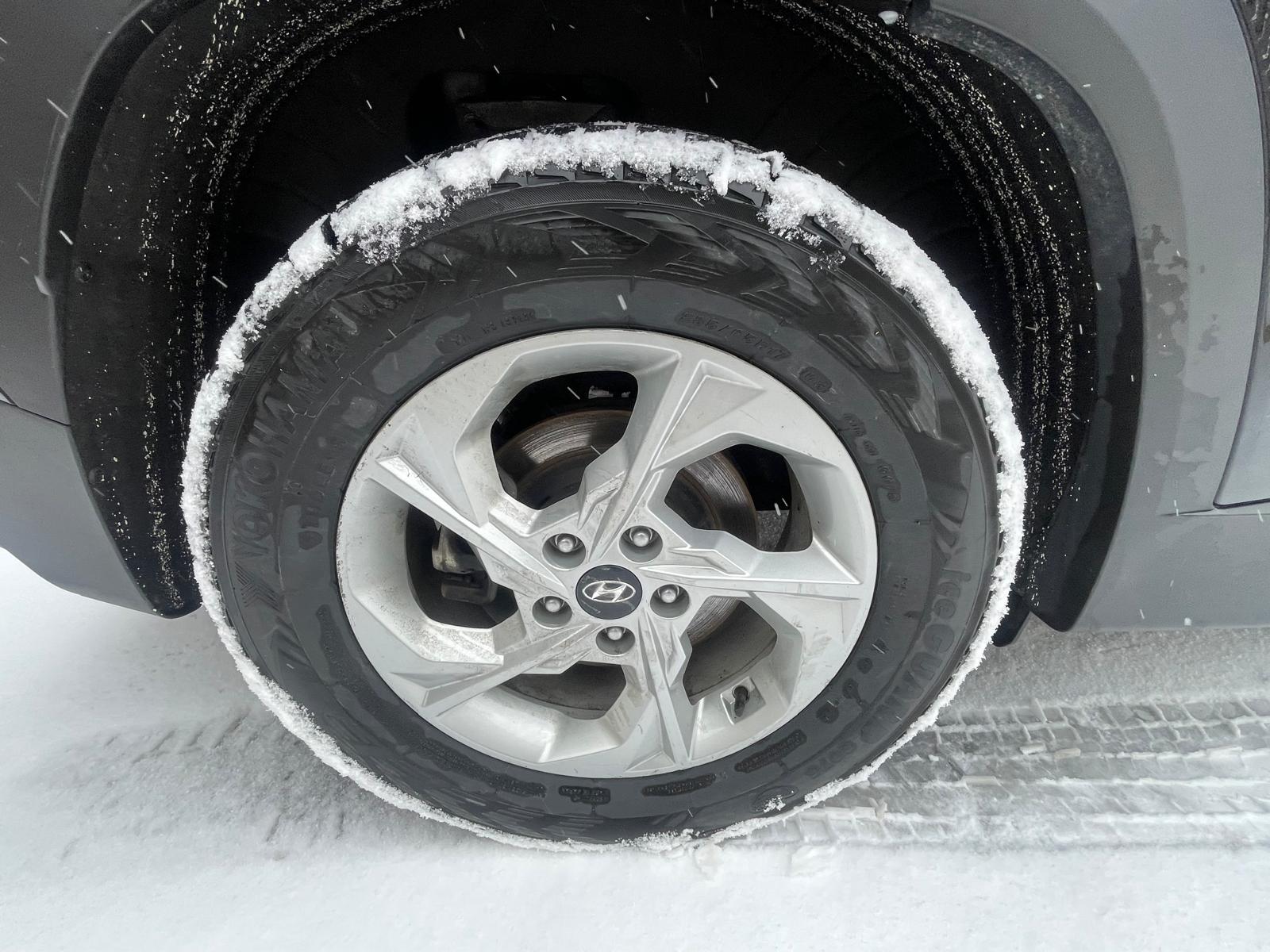 PHOTO-2026-01-15-14-33-52 7.jpg