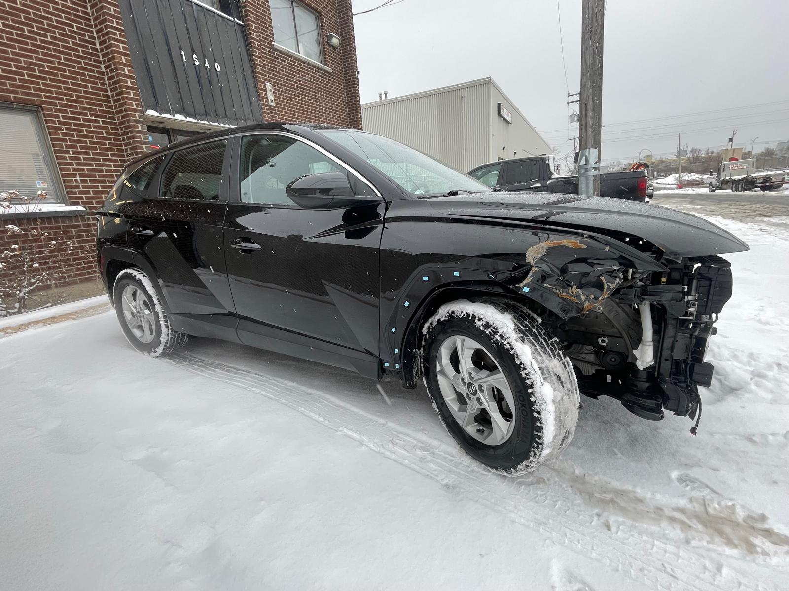 PHOTO-2026-01-15-14-33-52 6.jpg