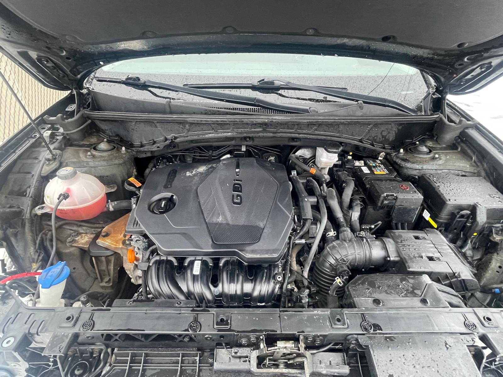 PHOTO-2026-01-15-14-33-53 18.jpg