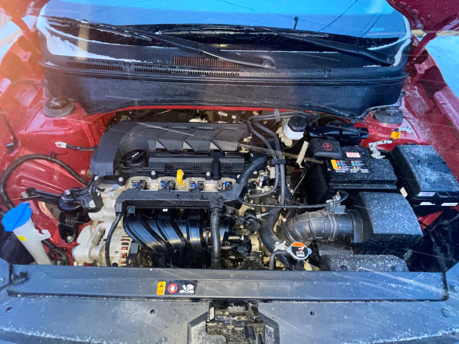 PHOTO-2026-01-15-16-34-01 5.jpg