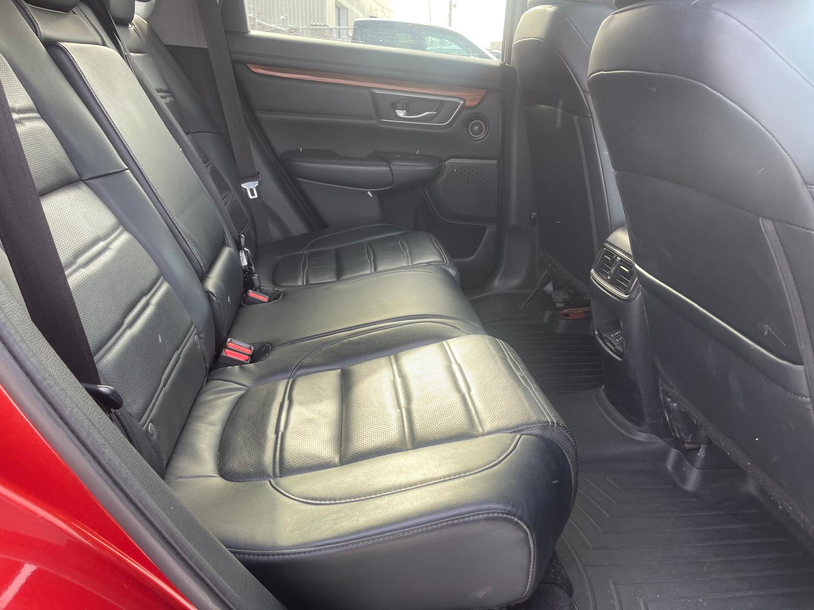 PHOTO-2026-01-28-11-23-29 8.jpg