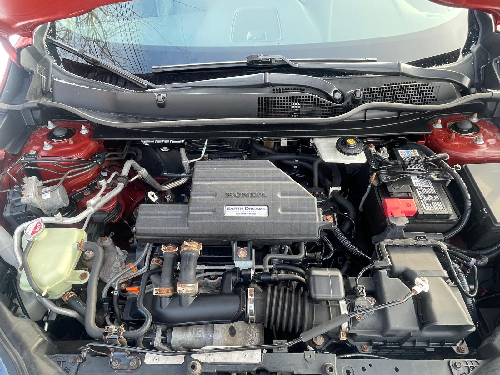 PHOTO-2026-01-28-11-23-28 2.jpg