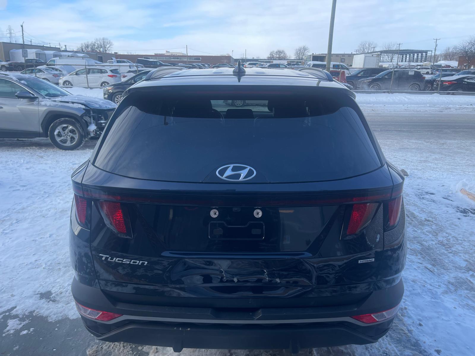 PHOTO-2026-01-30-10-24-51 4.jpg