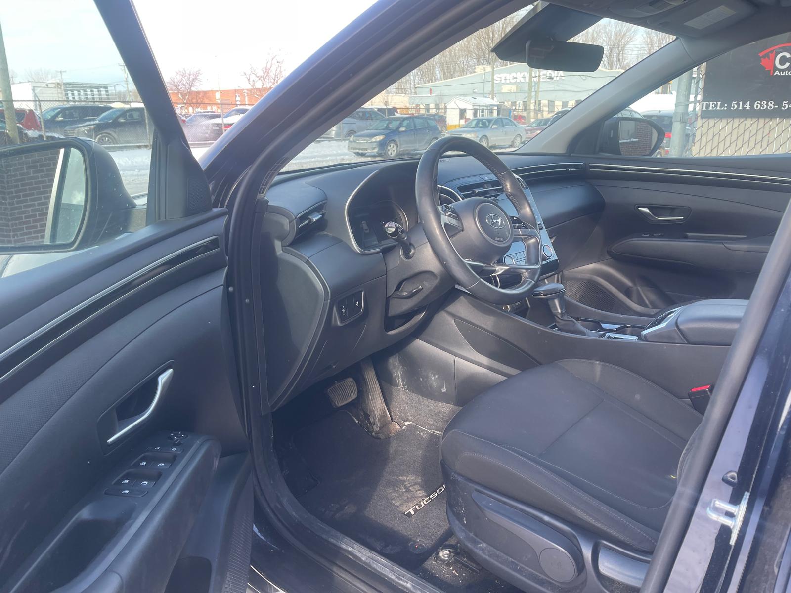 PHOTO-2026-01-30-10-24-52 2.jpg