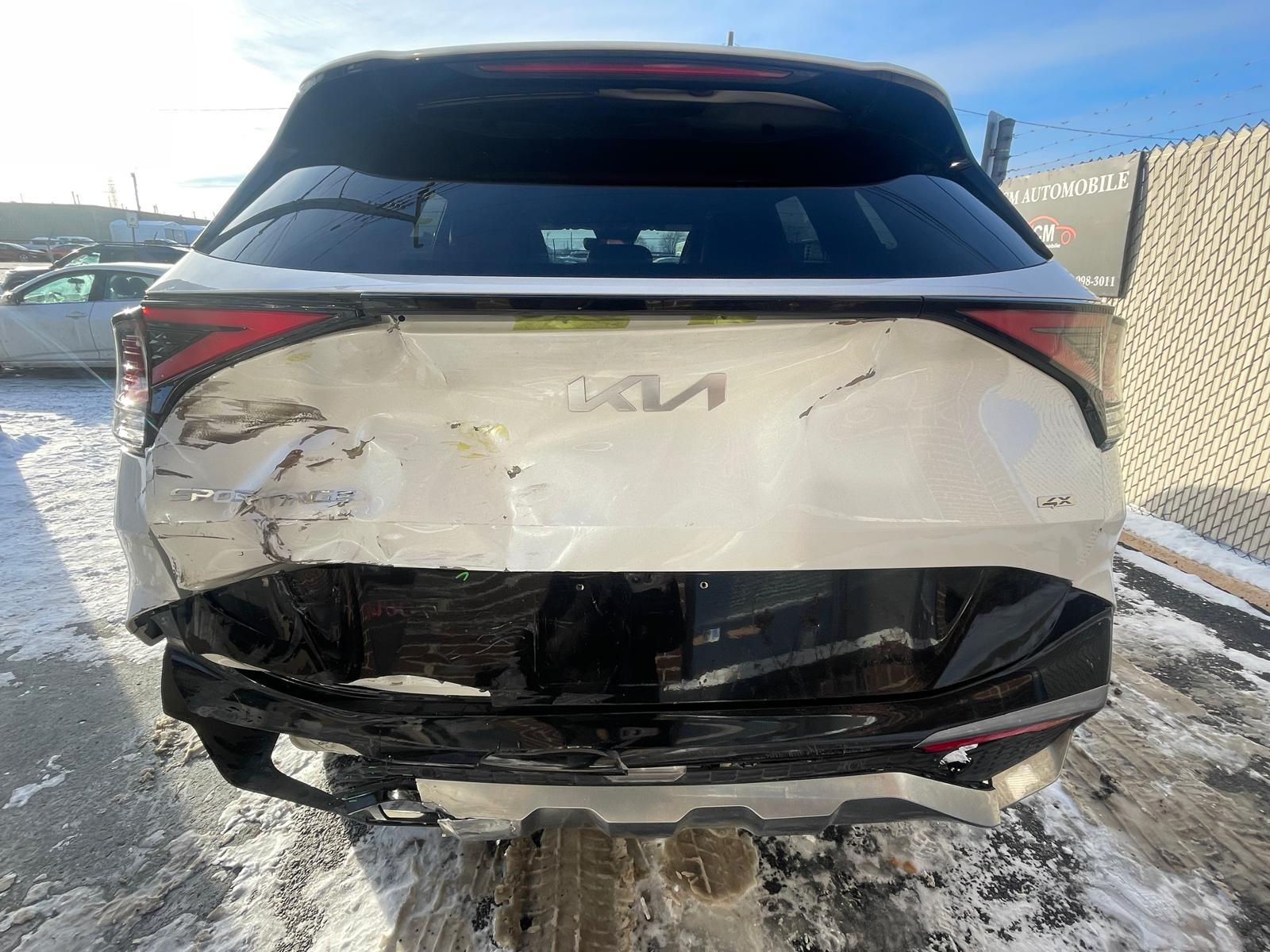 PHOTO-2026-01-30-16-01-17 7.jpg