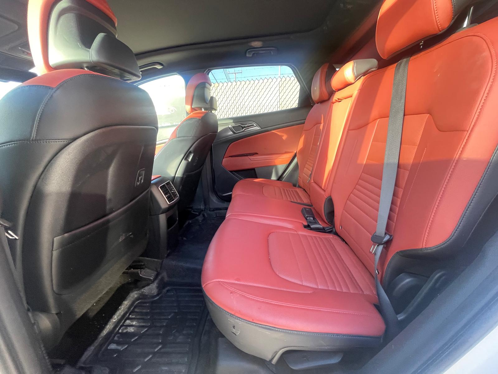 PHOTO-2026-01-30-16-01-15 6.jpg