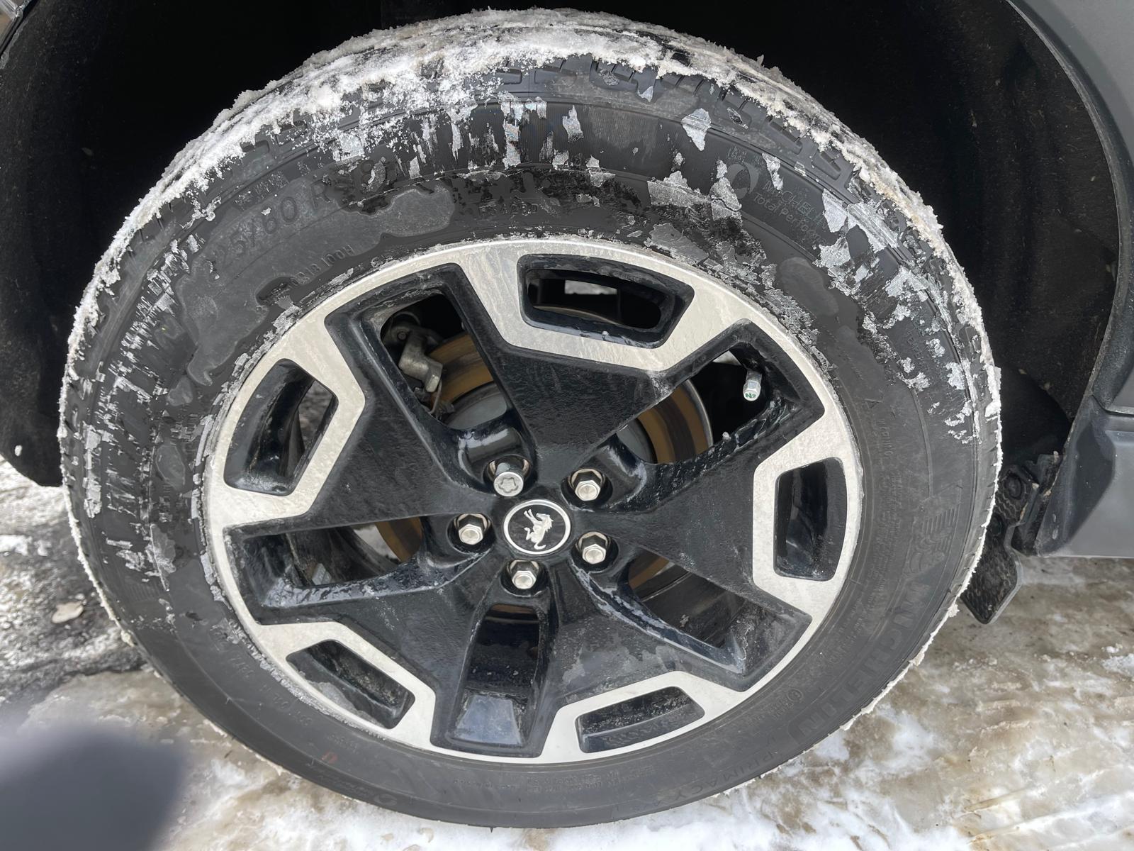 PHOTO-2026-02-10-10-13-40 4.jpg