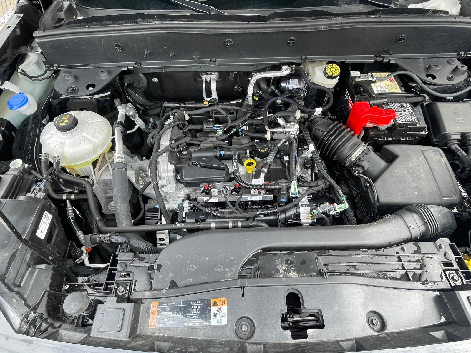 PHOTO-2026-02-10-10-13-41 18.jpg