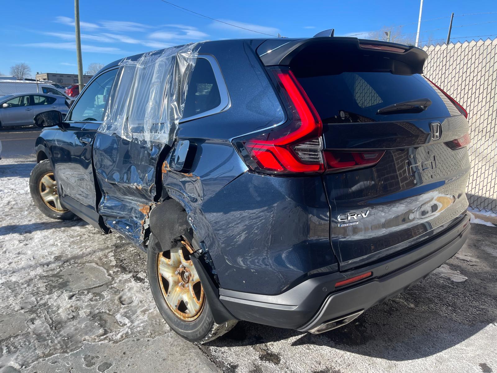 PHOTO-2026-02-13-13-46-07 4.jpg