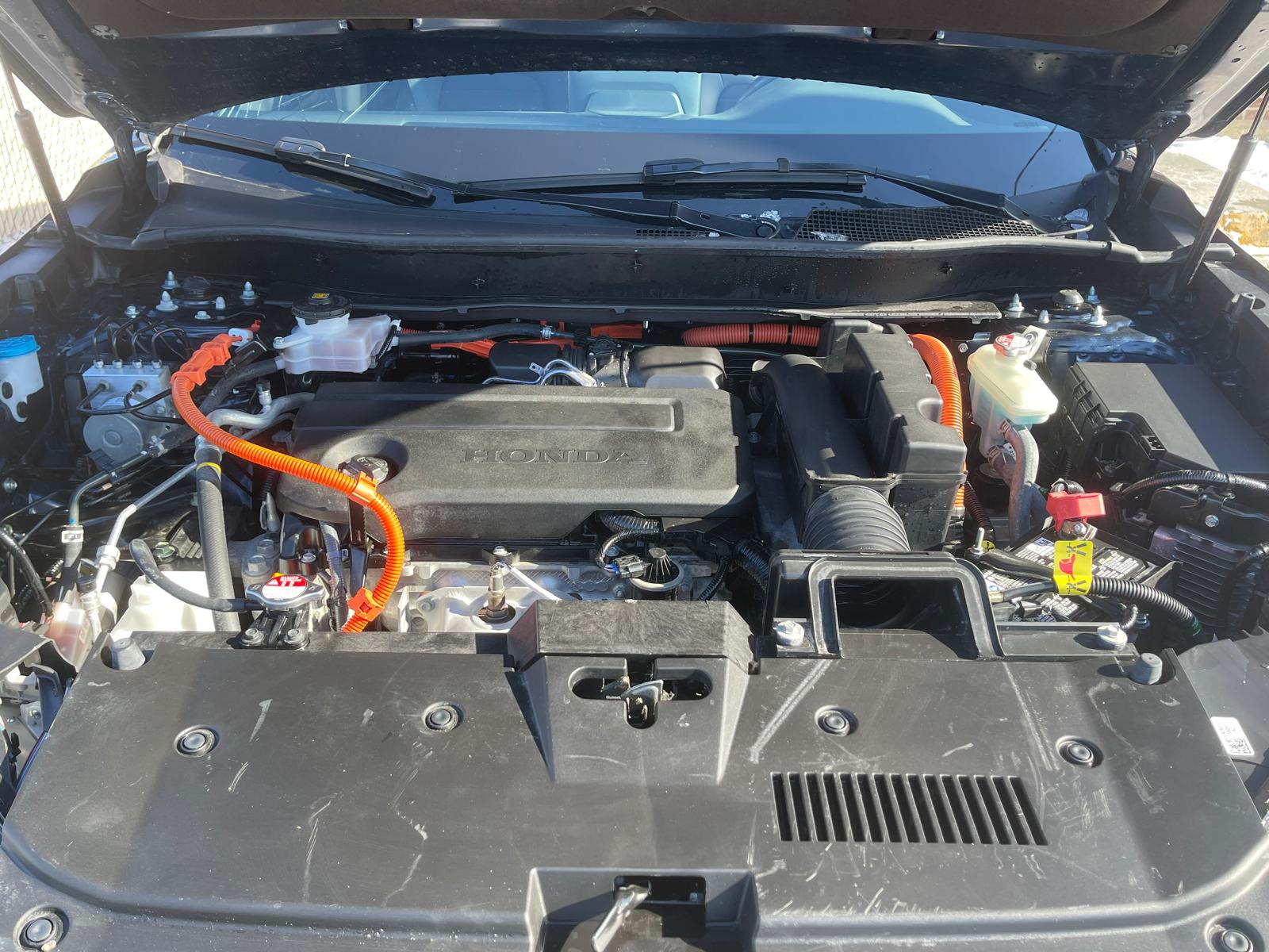 WhatsApp Image 2026-02-13 at 13.52.56.jpeg