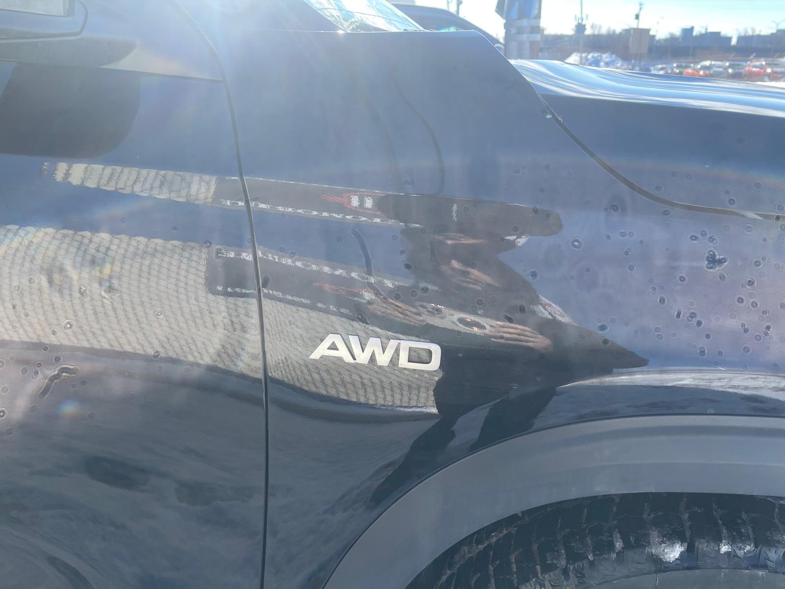 PHOTO-2026-02-14-11-50-37 5.jpg