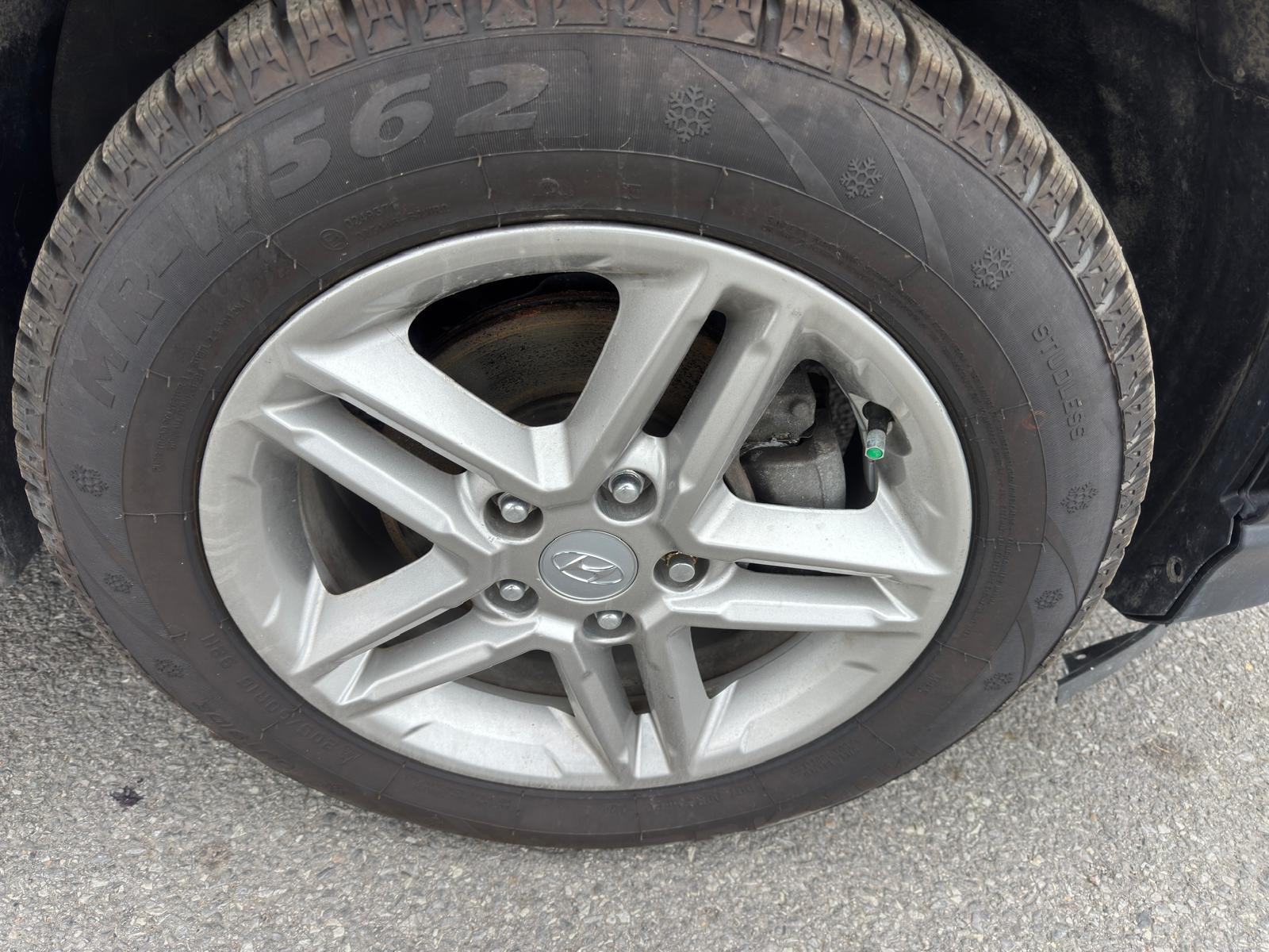 PHOTO-2026-02-16-03-21-01 2.jpg