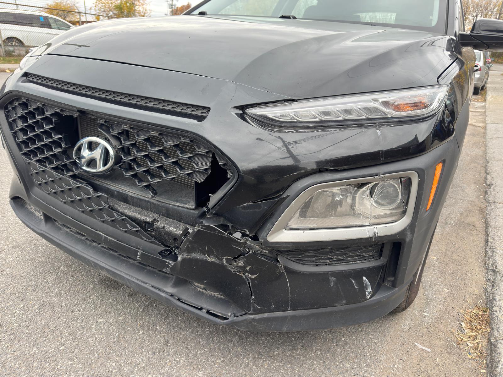 PHOTO-2026-02-16-03-21-00 2.jpg