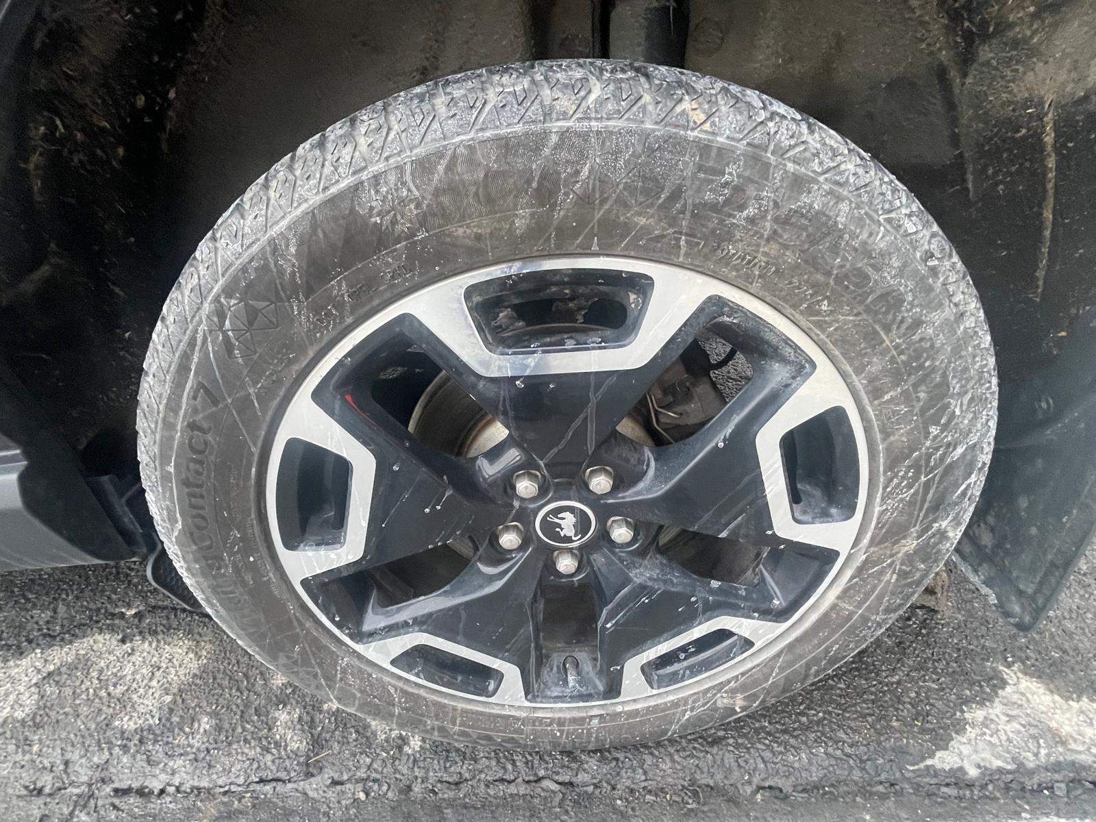 PHOTO-2026-02-17-13-54-37 8.jpg