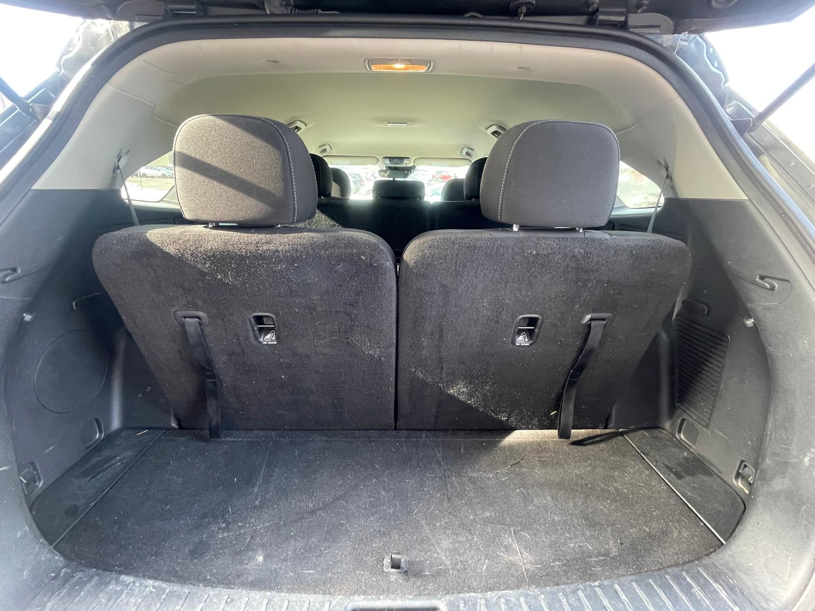 PHOTO-2026-02-19-13-08-00 23.jpg