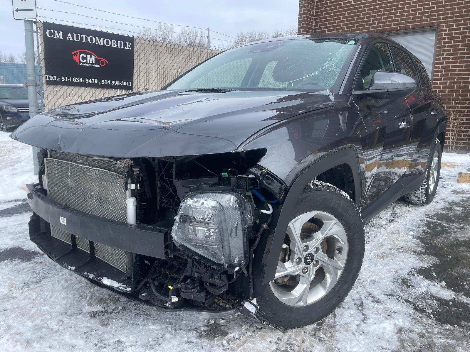 PHOTO-2026-02-26-15-15-43 12.jpg