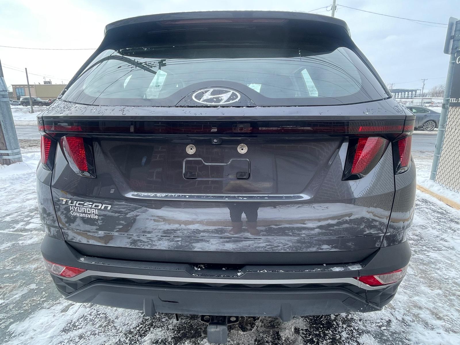 PHOTO-2026-02-26-15-15-43 17.jpg