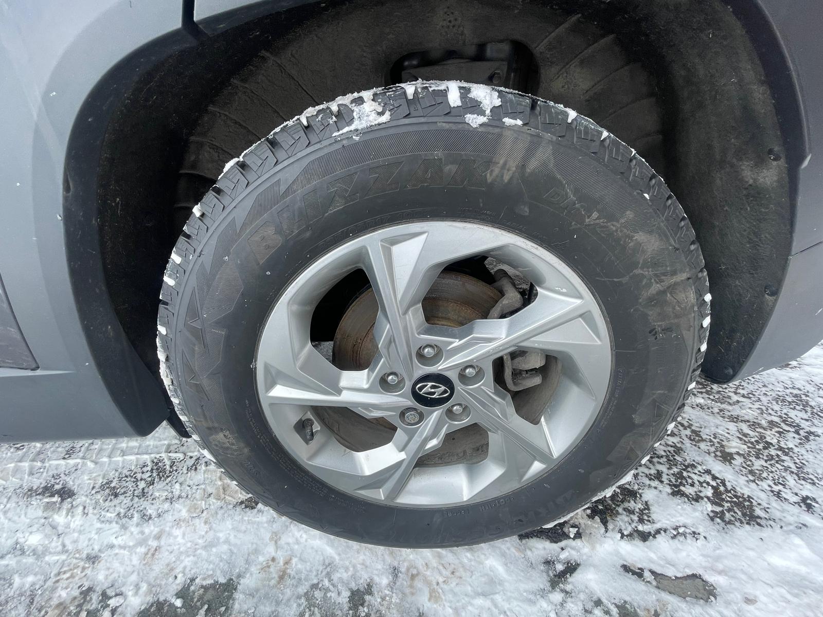 PHOTO-2026-02-26-15-15-43 7.jpg