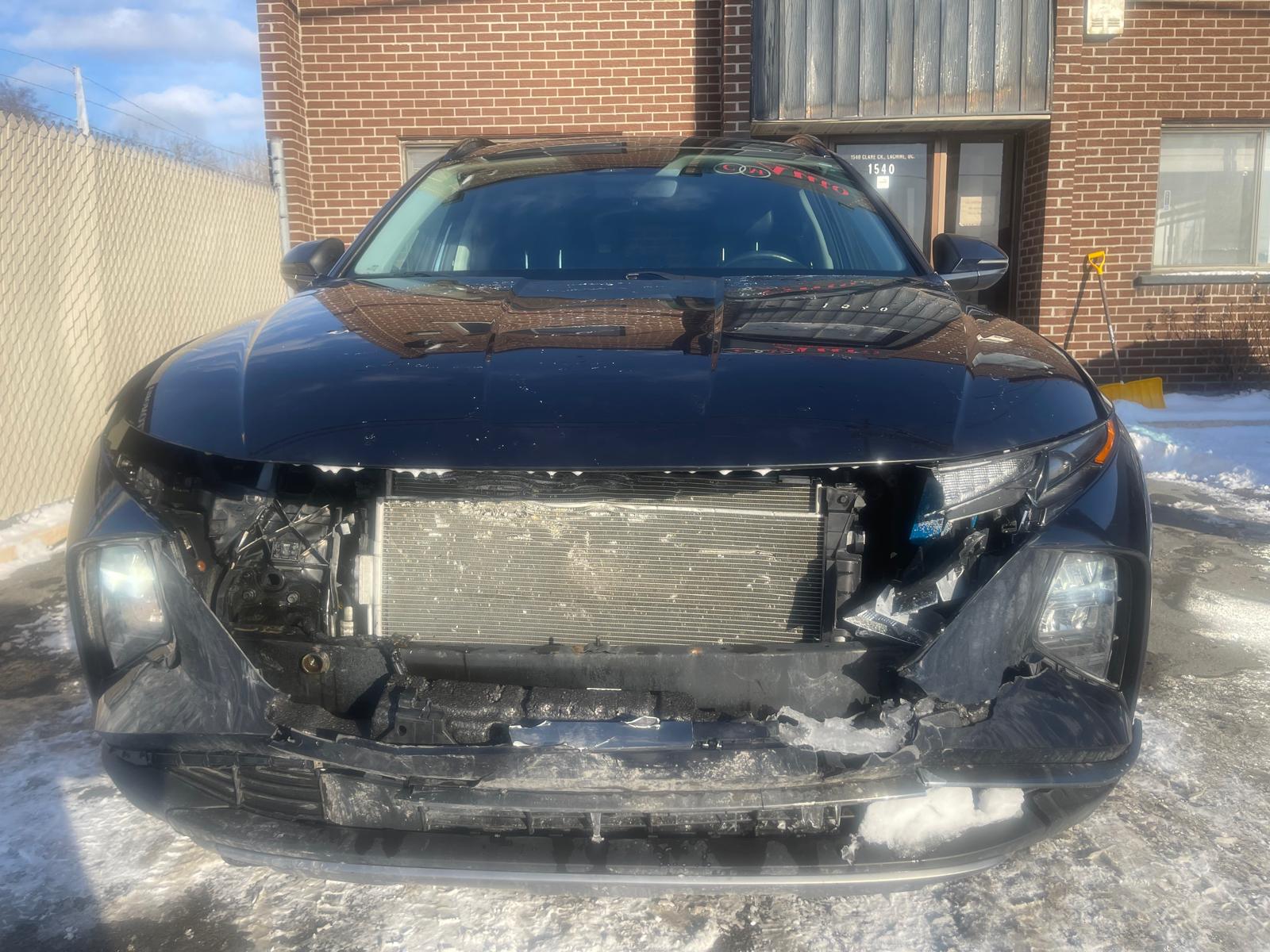 PHOTO-2026-02-26-16-10-01 2.jpg