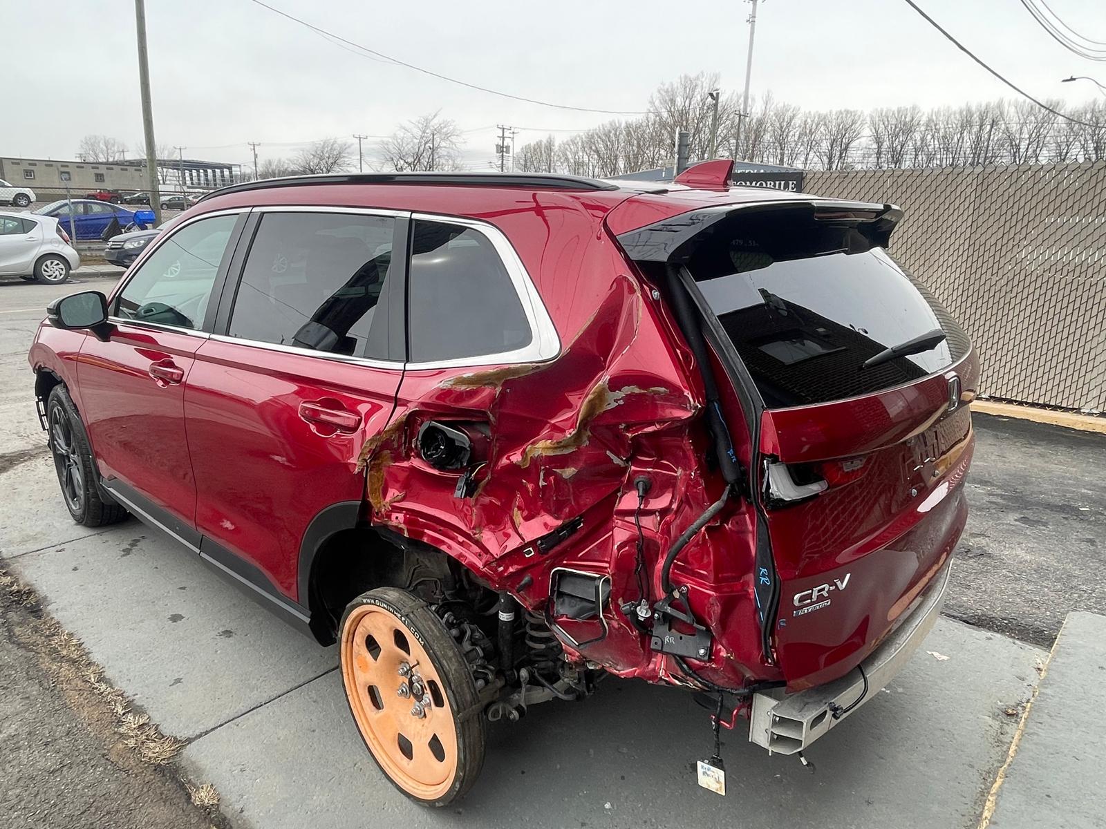 PHOTO-2026-03-13-16-34-29 9.jpg