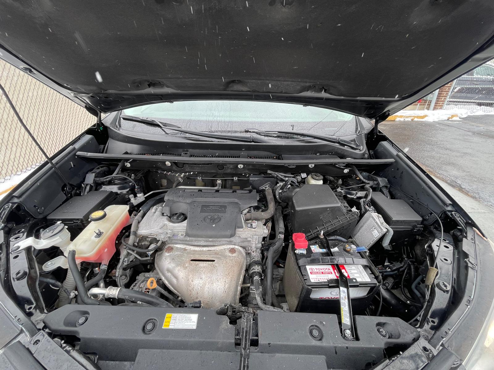 PHOTO-2026-03-14-14-54-46 4.jpg