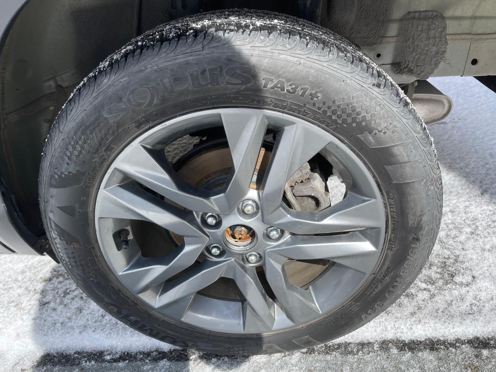 PHOTO-2026-03-17-13-35-52 10.jpg