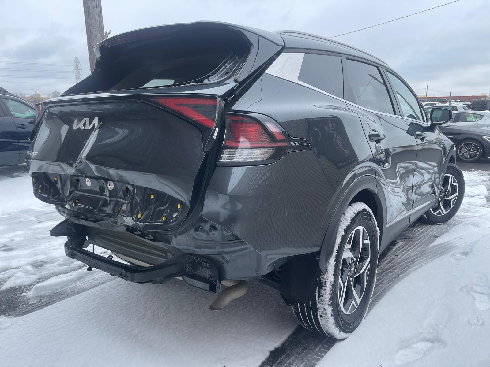 PHOTO-2026-03-20-15-40-58 3.jpg