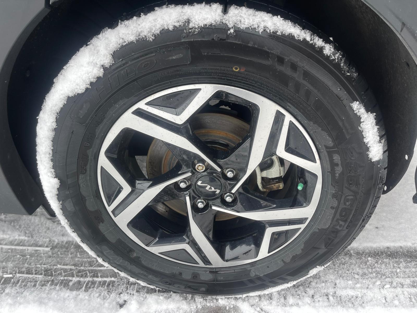 PHOTO-2026-03-20-15-40-58 6.jpg