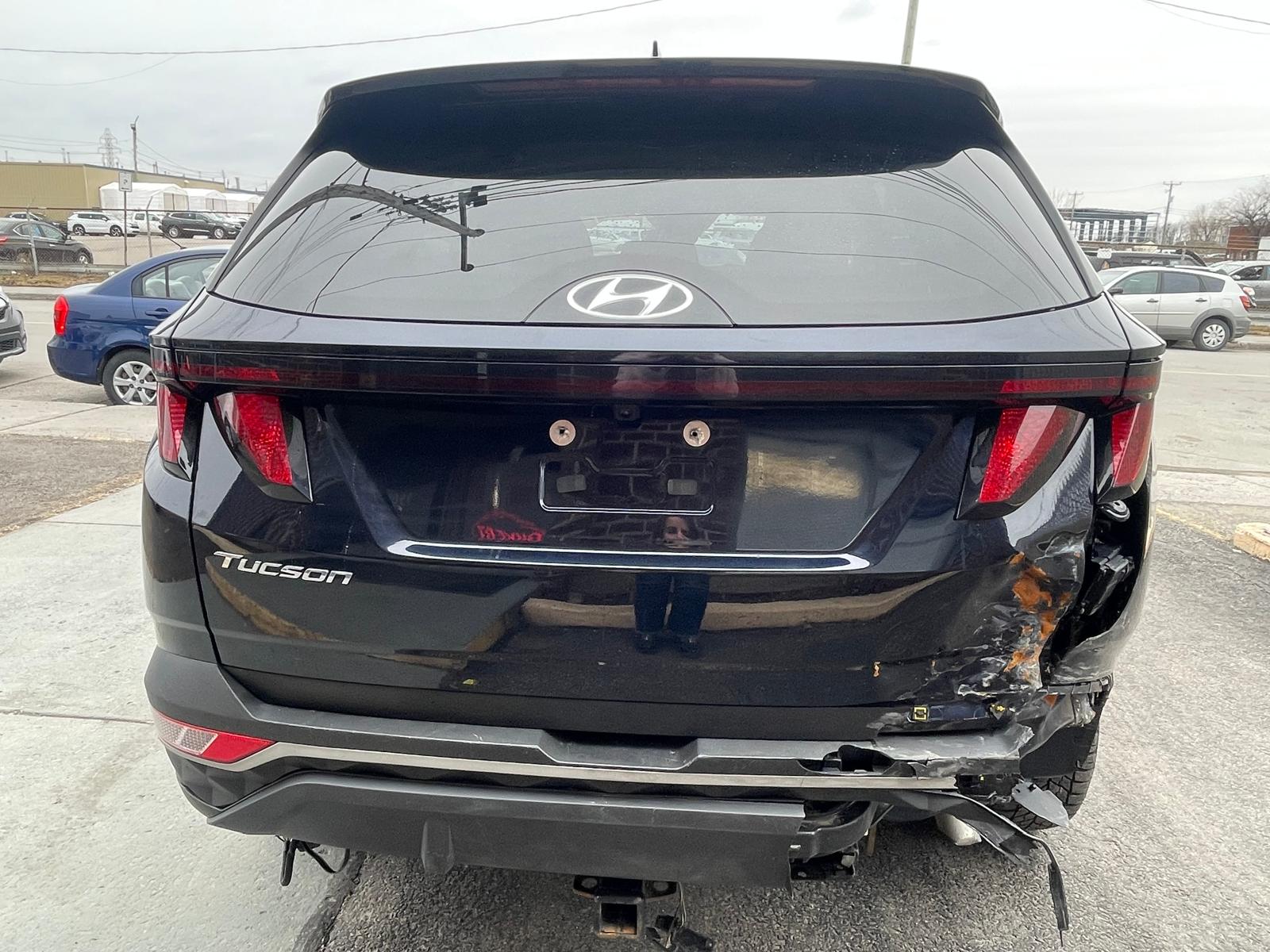 PHOTO-2026-04-02-15-57-36 6.jpg