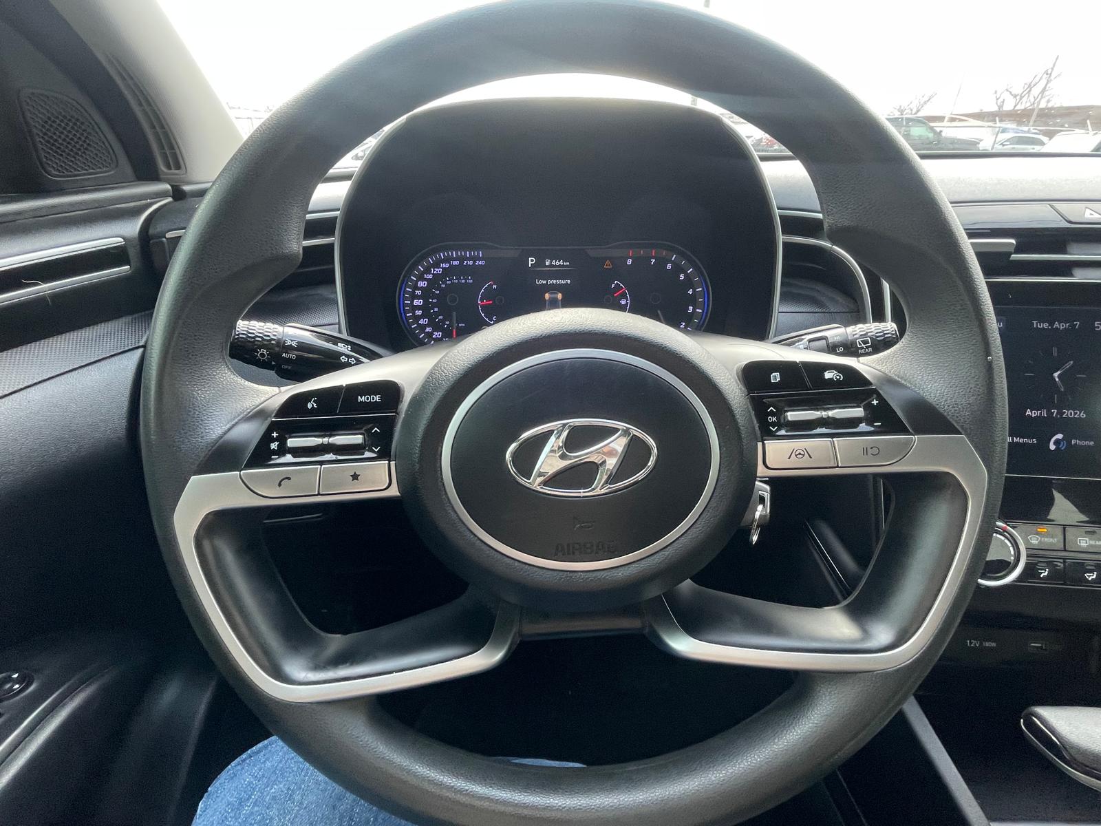 PHOTO-2026-04-07-17-15-14 19.jpg