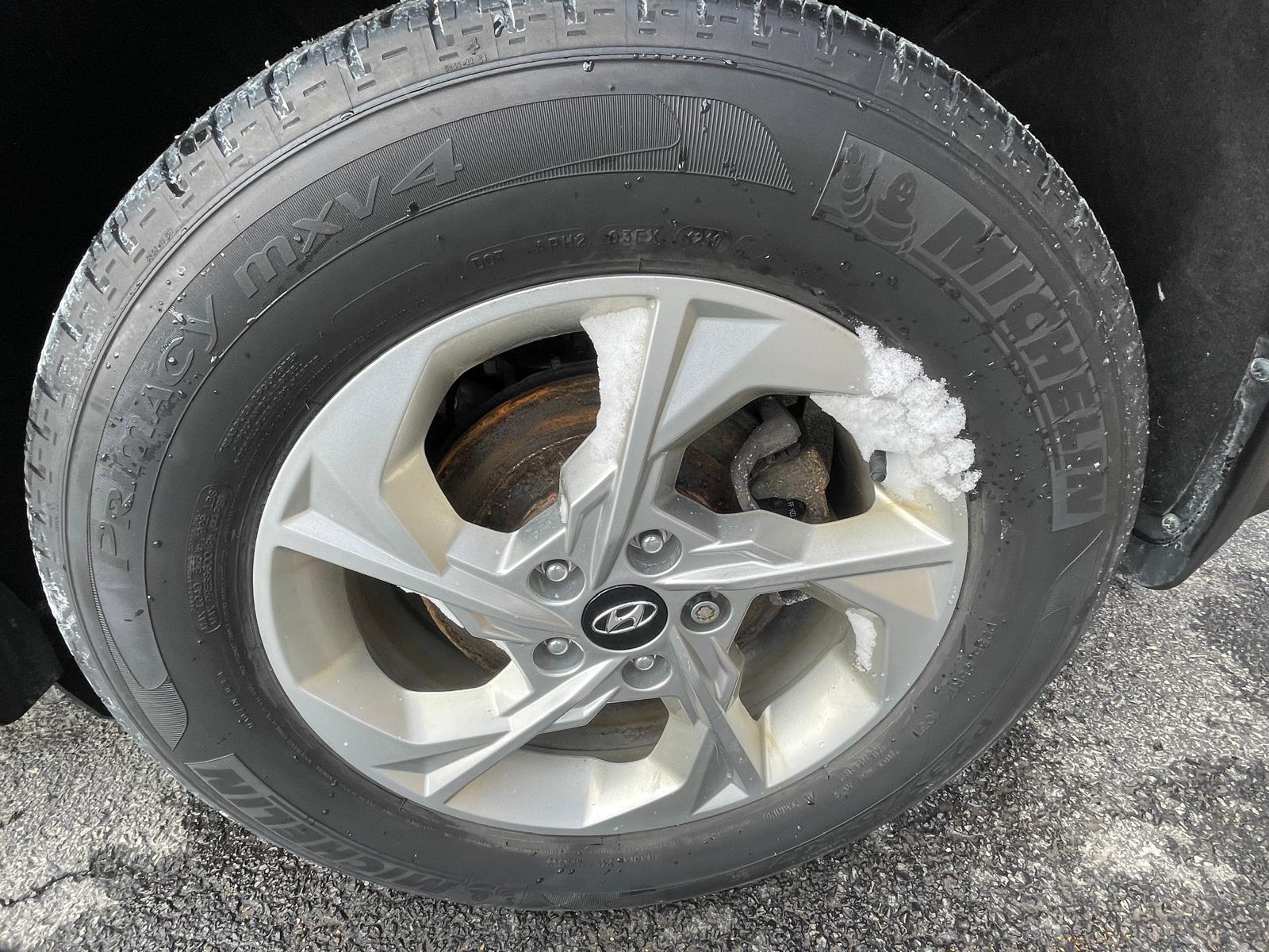 PHOTO-2026-04-07-17-15-14 25.jpg