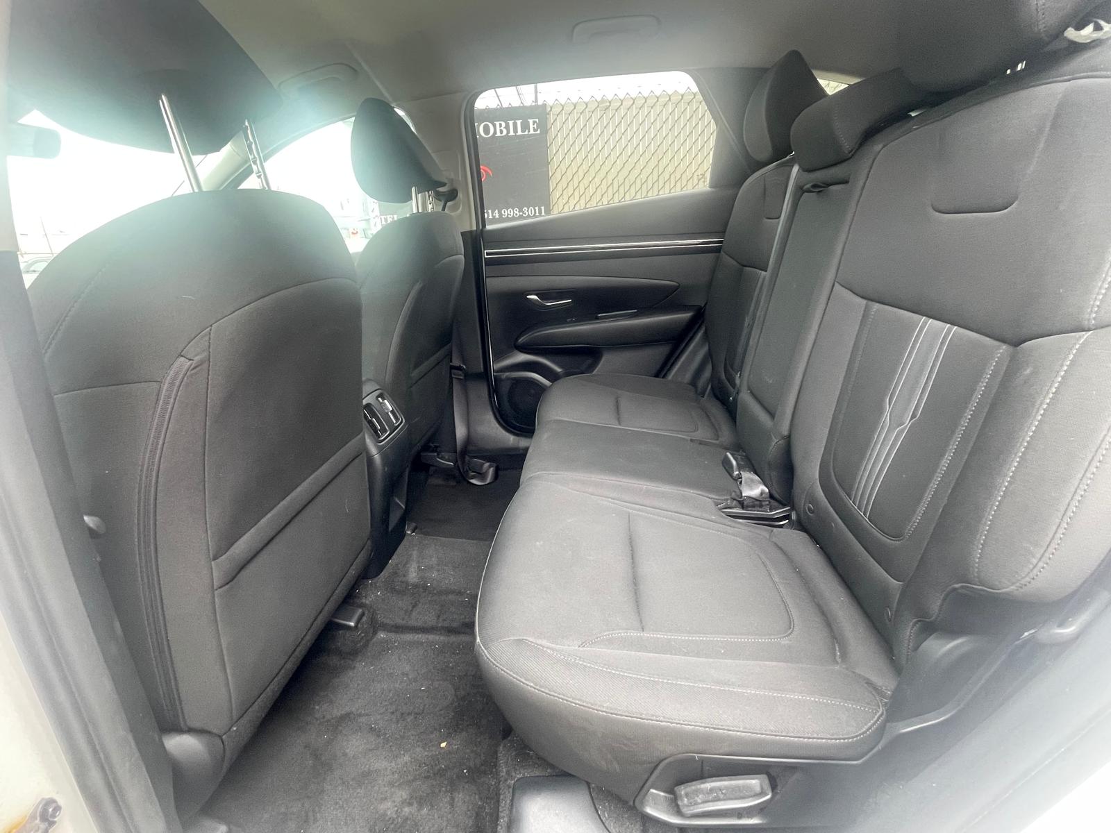 PHOTO-2026-04-14-11-22-20 23.jpg