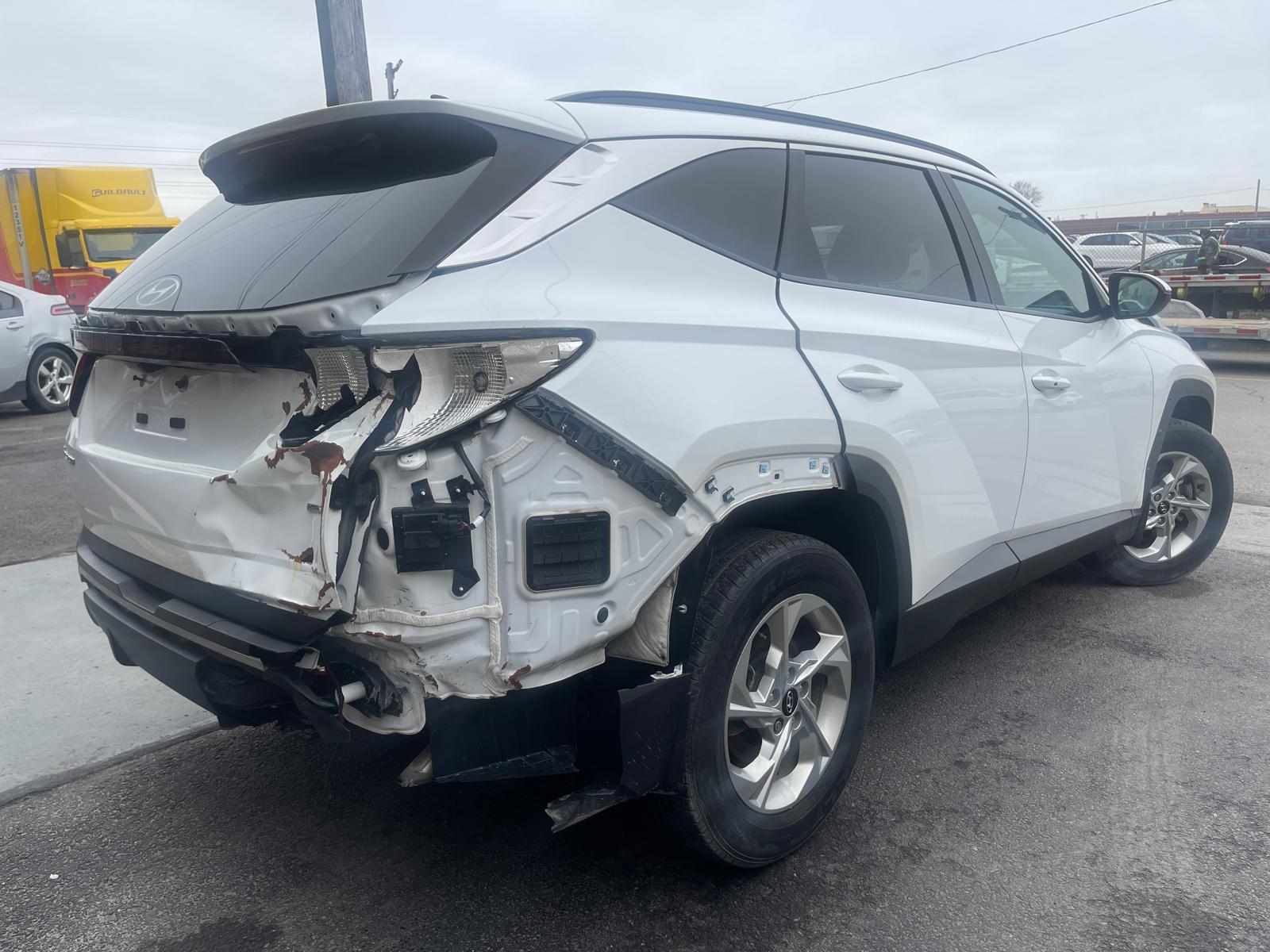 PHOTO-2026-04-14-11-22-20 4.jpg