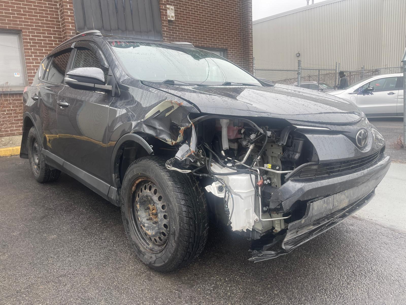 PHOTO-2026-04-15-12-33-30 2.jpg