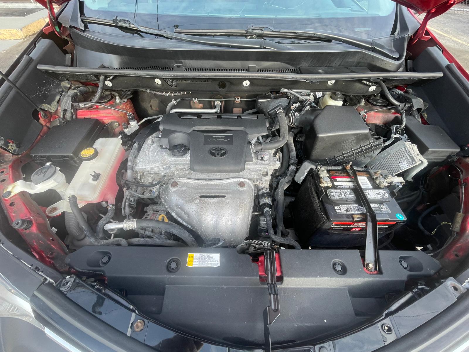 PHOTO-2026-04-21-17-23-35 9.jpg