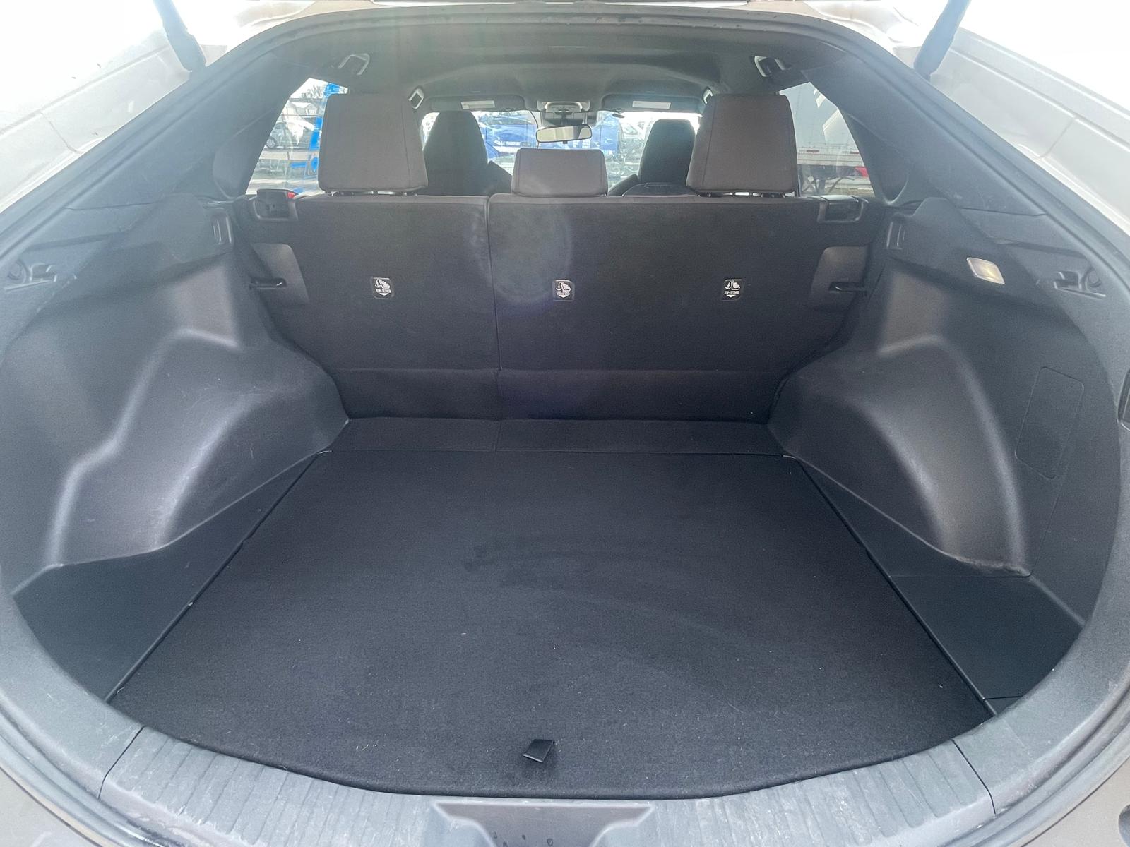 PHOTO-2026-04-22-16-54-09 16.jpg