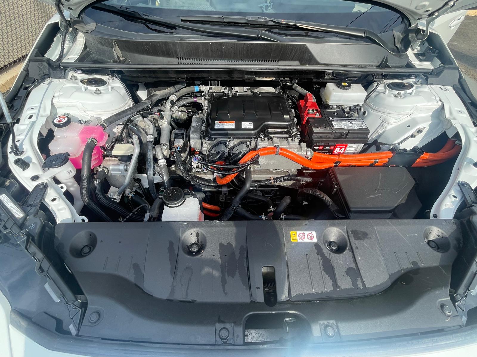 PHOTO-2026-04-22-16-54-09 15.jpg